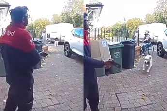 Hond uitlaten in een rolstoel is nog zo gemakkelijk niet