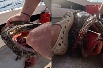 Zelfs tijdens het vissen kan het niet normaal in Australië
