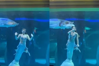 Beelden gaan viraal hoe een vrouw aangevallen wordt door een steur in Chinees Aquarium