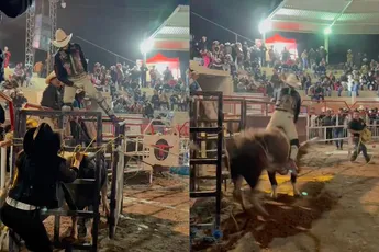 Ritje van cowboy op stier gaat viraal, maar dat heeft allemaal te maken met zijn been