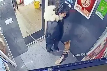 Als de lift nemen met je hond veel te spannend blijkt te zijn door de riem