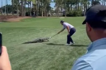 Professioneel golfer en Florida Man Billy Horschel weet wel raad met een alligator op de green