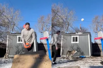 Achtertuin-challenge krijgt een wending als tweede hond ook mee wil doen