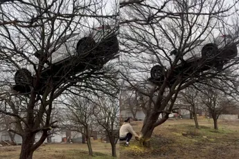 Lijkt AI is het niet: Mercedes uit de boom halen met een kettingzaag