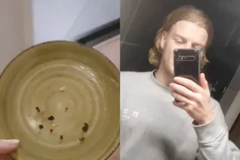 Perry heeft een gouden tip voor de kleine afwas