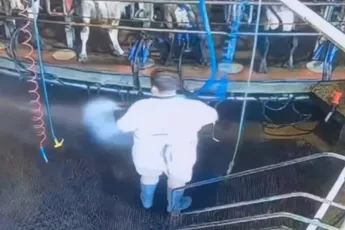 Boer is de stal aan het schoonmaken en voelt ineens iets warms in zijn nek