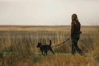 Zo gezond is dagelijks een flink eind wandelen met je hond