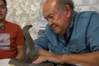 Dus je dacht een cobra wel onder controle te hebben…