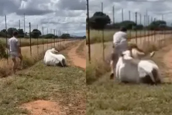 Doe dat nou niet... en dan toch doen met een twist aan het einde