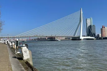 GroenLinks en PvdA willen tekst 'Black Lives Matter' in grote letters op de Erasmusbrug