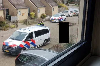 Poedelnaakte man in Wierden ziet beestjes, allemaal beestjes