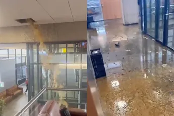 Poeptsunami op TU Delft: gesprongen riool zorgt voor ranzige overstroming 💩🌊