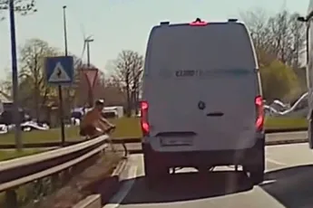 Heerlijk, een amateurwielrenner die zijn klikpedaal nog niet helemaal meester is