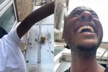 Bal op het dak en die dan even willen pakken