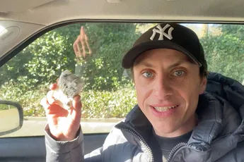 YouTuber Malle Joepoe (30) gearresteerd na paintballaanval op Dennis Schouten van Roddelpraat