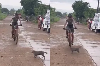 MTB’er is blij dat jij er bent, maar neemt toch nog een obstakel in de vorm van een katje