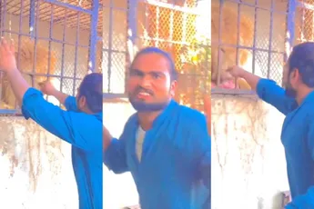 Grote kat pesten leverde toch nog een mooi karma-momentje op