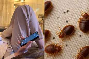 Moeder flipt compleet als dochter was wil doen voor vriendin met bedwantsen