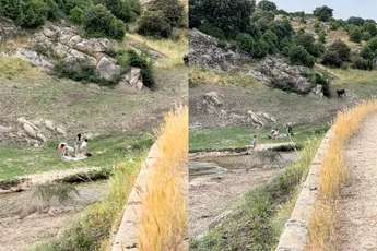 Picknick met vriendinnetjes krijgt geen vervolg