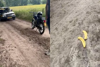 Trekker uitgegleden over bananenschil