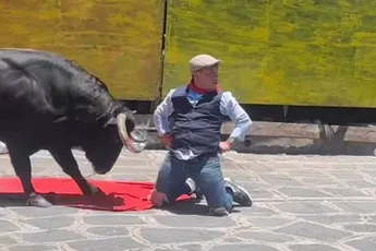 Man zwaar toegetakeld door stier tijdens ‘traditioneel’ dorpsfeest in Mexico