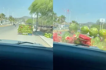 Auto gaat Full GTA door kraampje met watermeloenen