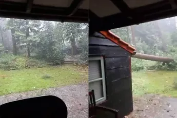 Boom trekt noodweer niet en valt door dak van huis