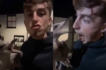 Meeuw vangen gaat nog niet helemaal lekker