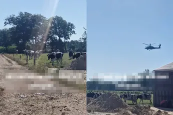 Boer is helemaal klaar met legerhelikopters boven z’n land