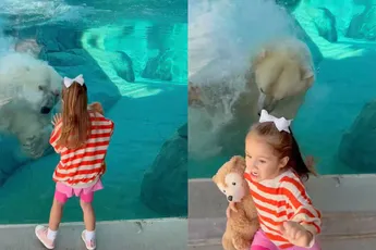 IJsbeer in dierentuin geeft eerste bezoekers van de dag een heel warm welkom