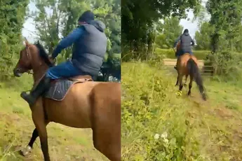 Springen blijkt niet de kwaliteit van deze frikandel op pootjes
