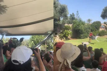 Zo hé, dat was een leuke roofvogelshow in Portugal