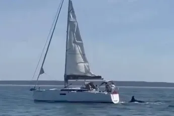 Orka’s vallen zeilboot aan bij Costa da Caparica: schip zinkt, bemanning gered