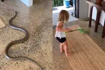 Australische vader leert dochter hoe je een python uit huis jaagt, mams boeit het niks