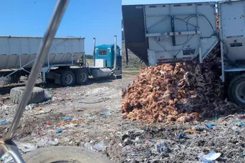 Kiloknaller mag toch blijven leven