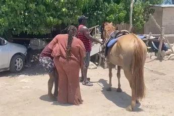Vrouw met een paar maten meer laat zich op paard tillen in Jamaica