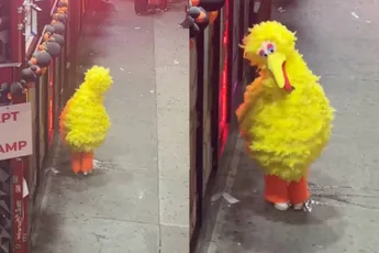 Big Bird kon het niet meer ophouden tijdens Halloween feestje in New York