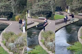 Bro-science zorgt voor vermoedelijk de mooiste ondergang die je vandaag zal zien