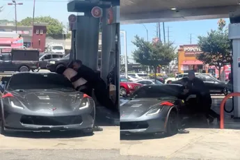 Corvette-mannetje gaat shirtloos de strijd aan en weet nog te ontkomen ook