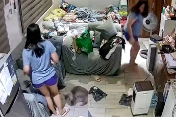 Kat neemt niet alleen huis over, maar werkt ook bazinnetje de deur uit