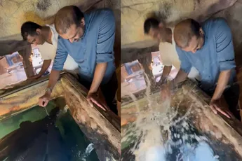 Vissen voeren eindigt met bonk op je hoofd