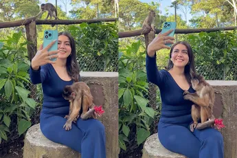 Brutaal aapje gaat op onderzoek uit en heeft wat gevonden 🐒👀