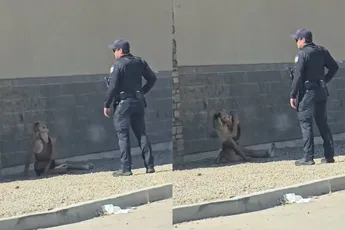 Flakka maakt dametje echt helemaal leip