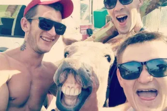 Gewoon een verzameling hilarische foto's #2133