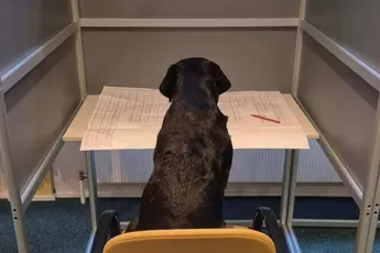 Gewoon een verzameling hilarische foto's #2139