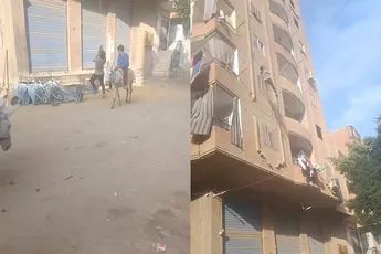 Nee joh, een lift is zo overrated, wij laten ons naar boven tillen