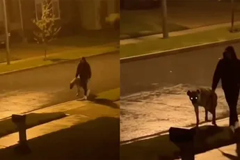 Soms moet je gewoon even hyena uitlaten