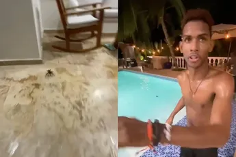 Spin doet Jezus na en loopt over water