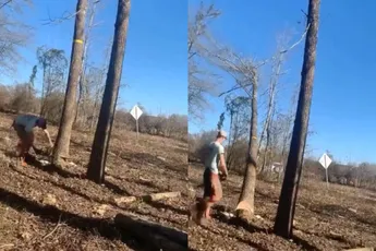 Gekapte boom omtrekken met auto bleek een uitermate slecht idee voor de man met de kettingzaag