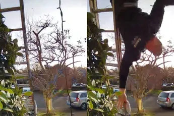 Handige Harry zou wel even de kerstverlichting ophangen, het liep anders…